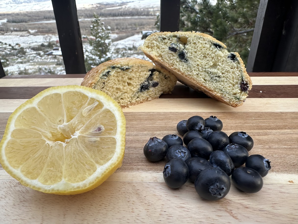 Mountain View Treats Lemon Blueberry Scone